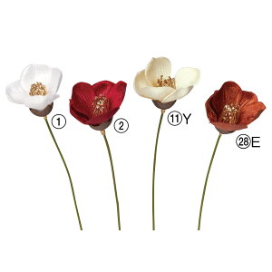   o xxbgJAsbN  coL xA  ޗ ԍ p[c wbhp[c ANZT[ nhCh    AXJ ASCA AXJ