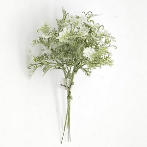 yP10{ z NX}X  O[ Ƃ悹i tbNZMloh(3{/1) NX}X NX}X NX}X NX}XAW [t z[[ t  p