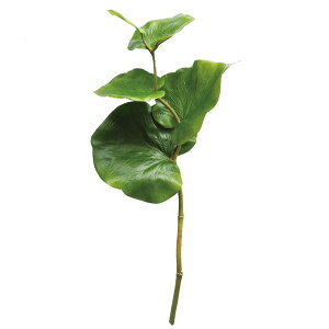  O[ Ƃ悹i V[O[vV[g n}xuhE CeA tFCN O[ p[c CeAt[ tFCNt[ VNt[ ԍ t roH|