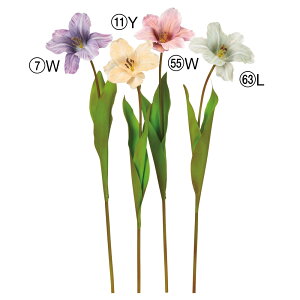 yP10{ 12/31܂ŁIz  Ƃ悹i I[v`[bv OS ڂ{^ 񂱂 EbRRE T ̓ ̓ CeA VNt[ AXJ ASCA AXJ