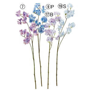 yP10{ 12/31܂ŁIz  Ƃ悹i XCgs[×10 XC[gs[ u[ F  p[v  WREGhE l氓 JIGhE WRE\E ԍ DIY AXJ ASCA AXJ