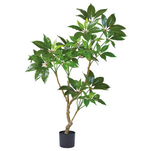 yP10{ z tFCNO[ ϗtA y[J[iz cs^TXi|bgtjsρEiƓst ϗtA 1.2m  lHϗt  t AXJ ASCA AXJ