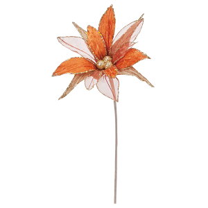 yP10{ 12/31܂ŁIz NX}X  Ƃ悹i |CZ`A VEWE{N ́X NX}Xt[ m[`FEuGi IW VtH [X I[KW[ AXJ ASCA AXJ