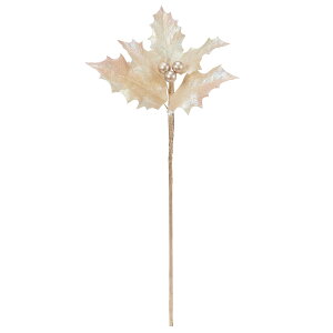 yP10{ z O[ NX}X  Ƃ悹i CfBZgz[[sbN  I[ LL Ό ʒF F NX}Xz[[ qCM A  AXJ ASCA AXJ