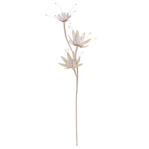 yP10{ z NX}X  Ƃ悹i V[eBOX^[Xv[ VTMXQ ̕ X^[OX LL NX}X NX}XAW  G AXJ ASCA AXJ