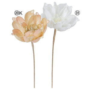 NX}X  Ƃ悹i CfBZg}OmA  I[ LL Ό ʒF F N nNN VN RuV   AXJ ASCA AXJ