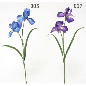 yP10{ 12/31܂ŁIz  Ƃ悹i cCACX  ԏҊ A  p[v  u[ m JLco^ ܌ 5 A[eBtBVt[ CeA CeAt[ 