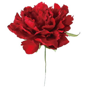 yP10{ z  Ƃ悹i sIj[sbN {^ O VNN 䉖 CeA CeAt[ tFCNt[ VNt[ CeAO[ AXJ ASCA AXJ