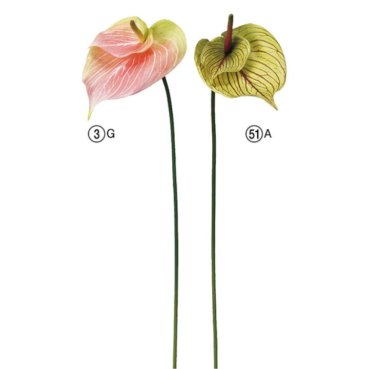 《 造花 》◇とりよせ品◇Asca(アスカ) アンスリウムアンスリューム アーティフィシャルフラワー 観葉植物 南国 トロピカル インテリア インテリアフラワー フェイクフラワー シルクフラワー 花材 素材 造花ドライフラワー専門問屋花びし アンスリウム フェイクグリーン インテリア 人工 観葉植物 造花 ブーケ