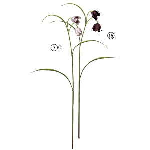 yP10{ 12/31܂ŁIz  Ƃ悹i t`A CeA CeAt[ tFCNt[ VNt[ CeAO[ tFCNO[ ԍ Ԏ AXJ ASCA AXJ