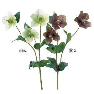 yP10{ 12/31܂ŁIz  Ƃ悹i NX}X[Y×3 A[eBtBVt[ w{X jQ CeA CeAt[ tFCNt[ ԍ Ԏ AXJ ASCA AXJ