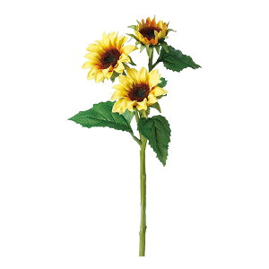  Ƃ悹i Tt[×3 Ђ܂ q}  썑 gsJ CeA CeAt[ tFCNt[ VNt[ ԍ AXJ ASCA AXJ