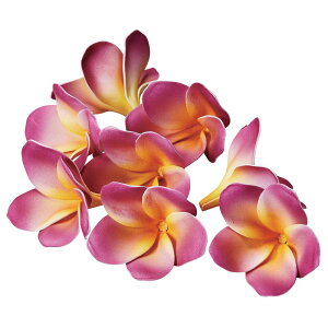  Ƃ悹i vAi18֓) 썑 CeA sN C nC gsJ CeAt[ tFCNt[ VNt[ ԍ AXJ ASCA AXJ