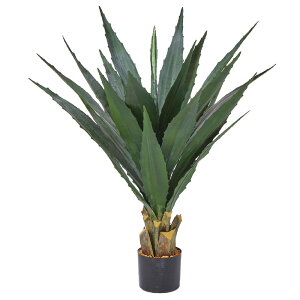 tFCNO[ ϗtA y[J[iz AKxi|bgtjsρEiƓst ϗtA 1m  lHϗt E[c AXJ ASCA AXJ