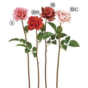  Ƃ悹i [Y o KN  ٍc炫 KN F sN [u [ bh IW o[KfB[ Cbh i AXJ ASCA AXJ