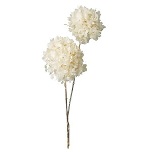 vU[uht[ ԍ Ƃ悹i AWTCEOfBt[ hCt[ sN O[  p[v   z vU ԍ ޗ f DIY n_