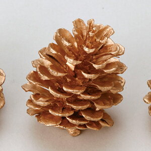 hCt[ ԍ Ƃ悹i } M S[h (24pbN) ؂̎ t[c ʎ ibc hC Rf hCt[ i`hCt[ CeA  p