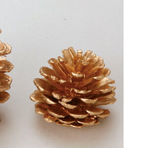 hCt[ ԍ Ƃ悹i } S S[h (24pbN) ؂̎ t[c ʎ ibc hC Rf hCt[ i`hCt[ CeA  p