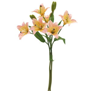 yP10{ }\z  Ƃ悹i [oh(2{/1) sN B  S  A[eBtBVt[ CeA CeAt[ tFCNt[ VNt