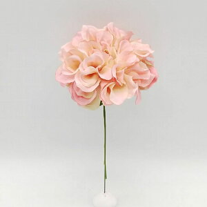 yP10{ z  Ƃ悹i _AsbN AvRbgsN VO Ă񂶂ڂ eWN{^ CeA CeAt[ tFCNt[ VNt[ ԍ DIY p