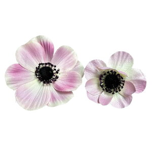 yP10{ 12/31܂ŁIz  Ƃ悹i AllubV sN {^C`Q niC`Q xjoiILiOT A[eBtBVt[ CeA CeAt[ tFCNt