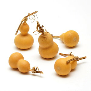 yP10{ z hCt[ ԍ o Ђ傤 ԍ f ޗ p[c AWTC  S[h p[v bh zCg    x[W VpS[h n_