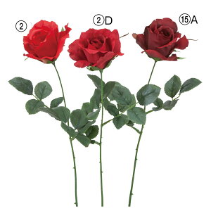 yP10{ }\z  Ƃ悹i AX[Y KN o ԂKN KN  c炫 CeA CeAt[ tFCNt[ VNt[ ԍ DIY AXJ ASCA 