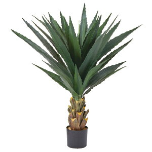 yP10{ z tFCNO[ ϗtA y[J[iz AKxi|bgtjsρEiƓst ϗtA 1.2m  lHϗt 㗖  AXJ ASCA AXJ