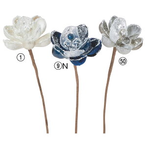 NX}X  Ƃ悹i }OmAsbN N nNN VN RuV   F LL Ob^[  rW[  G AXJ ASCA AXJ