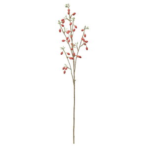  O[  Ƃ悹i O~̖  ؂̎ x[ CeA tFCN O[ p[c AWg CeAt[ ԍ Ԏ AXJ ASCA AXJ