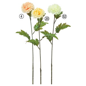   Ƃ悹i ||} LN e a } CeA CeAt[ tFCNt[ VNt[ CeAO[ ԍ DIY AXJ ASCA AXJ