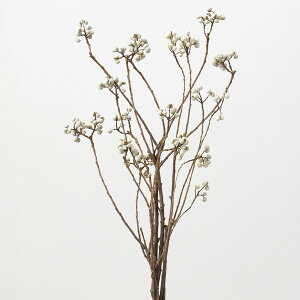 yP10{ 12/31܂ŁIz hCt[ ԍ Ƃ悹i iLn[EXet ԍ f ޗ p[c  Ȃ񂫂͂ CeA fBXvC XbO [X AW i` 