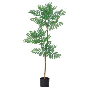 tFCNO[ ϗtA y[J[iz Go[tbVi|bgtjsρEiƓst ϗtA 1.2m  lHϗt t AXJ ASCA AXJ