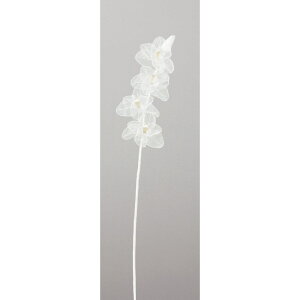 yP10{ z NX}X  Ƃ悹i VtHVrW[(t) VrWE Vrf[ VrfBE 轏֗ QCVE [X LL AXJ ASCA AXJ