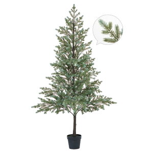 yP10{ }\z NX}X c[ 傫 y[J[iz pCc[(|bgt)sρEiƓst lHA C~e[VO[ lHϗt AXJ ASCA 