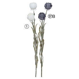 造花 とりよせ品 ヘリクリサム×2 ムギワラギク インテリア インテリアフラワー フェイクフラワー シルクフラワー インテリアグリーン 花材 花資材 アスカ ASCA アスカ商会