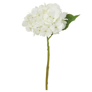  Ƃ悹i nChWA AWTC  z  zCg CeA CeAt[ tFCNt[ VNt[ ԍ f AXJ ASCA AXJ