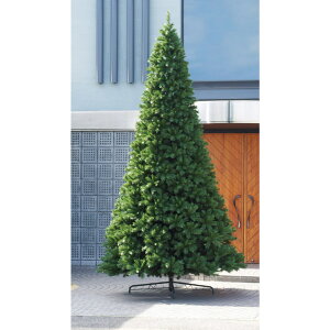 NX}X c[ 傫 y[J[iz W{c[sρEiƓst lHA C~e[VO[ lHϗt j[N AXJ ASCA AXJ