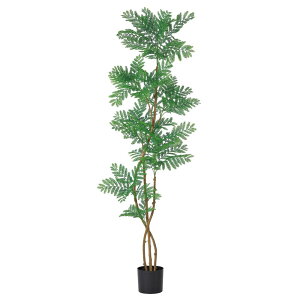 tFCNO[ ϗtA y[J[iz Go[tbVi|bgtjsρEiƓst ϗtA 2m  lHϗt ^ AXJ ASCA AXJ