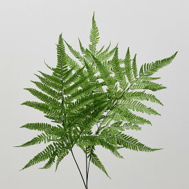 【P10倍 12/31まで！】 プリザーブドフラワー 花材 とりよせ品 ヒメワラビ・プリザーブド(5枚入り) 花材 素材 材料 パーツ ドライフラワー プリザーブド グリーン シダ ドライフラワー花束 大地農園