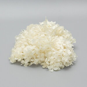 yP10{ z vU[uht[ ԍ o \tgs~bh ItzCg ԍ f ޗ p[c hCt[ AWTC  z  zCg Ԃт DIY 