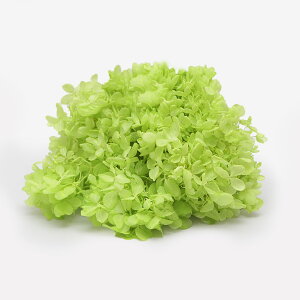 vU[uht[ ԍ o \tgs~bh tbVO[ ԍ f ޗ p[c hCt[ AWTC  z  O[ ԑ 