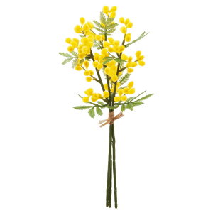 yP10{ 12/31܂ŁIz  Ƃ悹i ~Uo`i13{) ~U̓ F CG[  CeA CeAt[ tFCNt[ VNt[ ԍ f AXJ ASCA AXJ