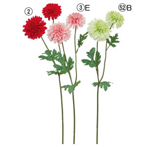   Ƃ悹i ||}×2 LN e a } CeA CeAt[ tFCNt[ VNt[ CeAO[ ԍ AXJ ASCA AXJ