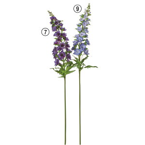 yP10{ 12/31܂ŁIz  Ƃ悹i ftBjE ftBj[ 򉍑 qG\E p[v  u[  x_[ A^b` v~A i u[P AXJ ASCA AXJ