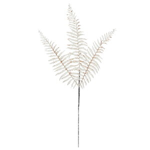 yP10{ z NX}X  O[ Ƃ悹i Ob^[t@[Xv[ LL AWx[X  F zCg F S[h V_ [t z[[ AXJ ASCA AXJ