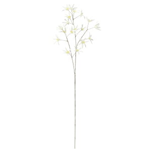 NX}X  Ƃ悹i xxbgt[Xv[×18 r[h xxbh N  ̊ i GKg  zCg   ~ X AXJ ASCA AXJ