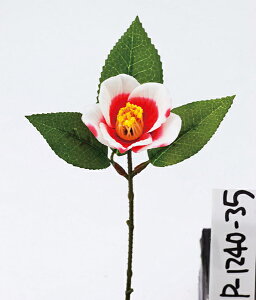  Ƃ悹i  r[eBsN a coL JA CeA CeAt[ tFCNt[ VNt[ CeAO[ tFCNO[ ԍ p