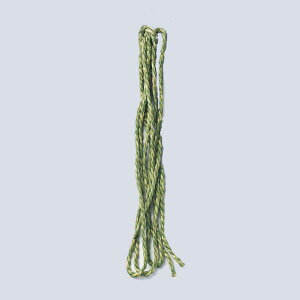 P10{ 10/14 20灚 s   aG p[c t Ƃ悹i 10mm  u Vt }t }tpi    AW G VN̂ N a 