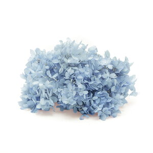 yP10{ z vU[uht[ ԍ o \tgs~bh xr[u[ ԍ f ޗ p[c hCt[ AWTC  z u[ Ԃт XbO 